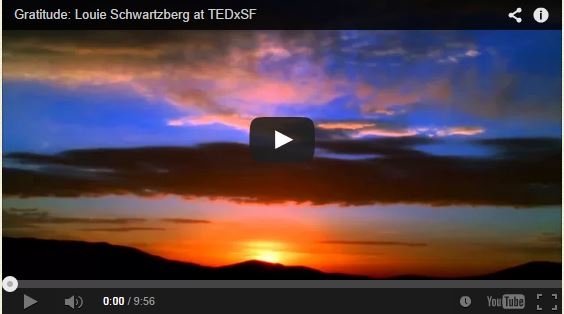 0000 happiness time lapse