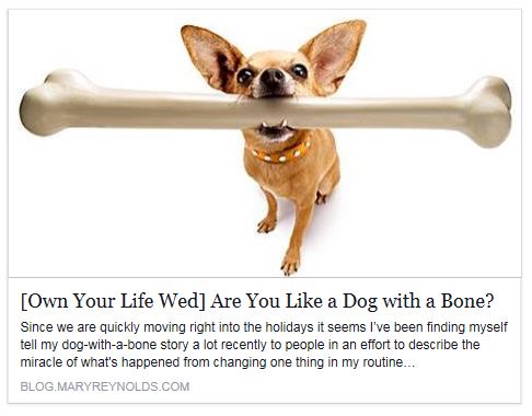 111115 Dog with a bone MD BB ED 2