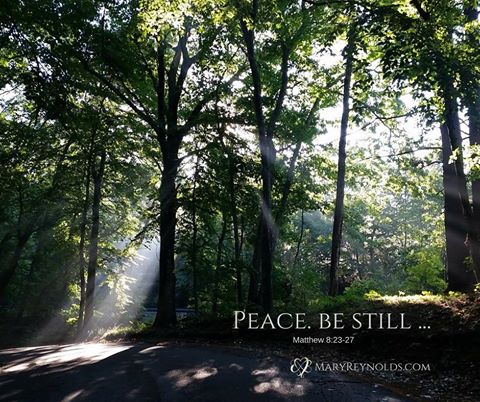 14291909_1321929041174479_5205452293192811717_n