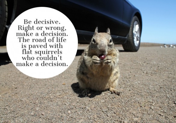 cute-squirrel-at-the-coast-of-california-picture-id901304438 Rainer Puster.